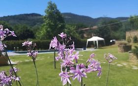 Alba Morus Bed E Breakfast Sentiti A Casa Nel Cuore Della Toscana
